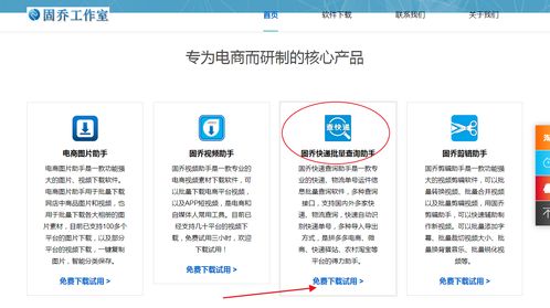 教你批量查詢快遞物流信息，一眼發現異常件——信息技術咨詢服務指南