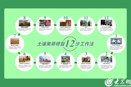 濰坊模式顯成效 全國首個生姜土壤熏蒸服務規范出爐，信息技術賦能農業新篇章